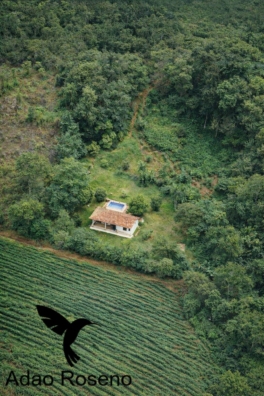 Terreno, 2 hectares - Foto 1